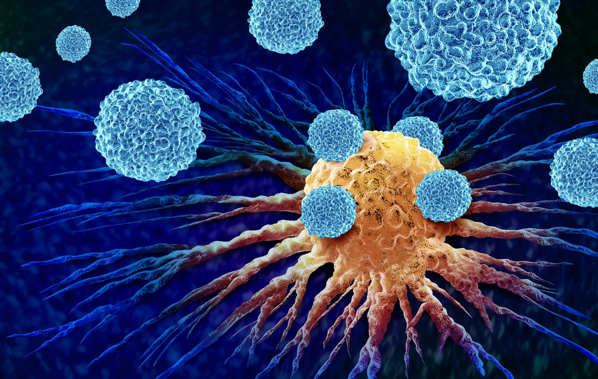 Molécules biosourcées : vecteurs d'innovation en sciences biomédicales et en santé